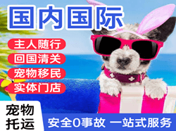 静巴机场快运国际宠物托运 【国